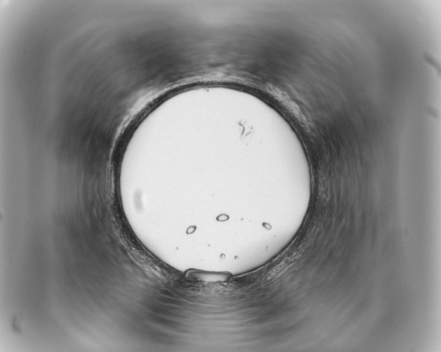 X0000093361270200711081507