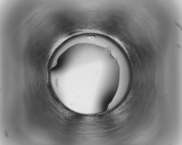 X0000093361271200711081507