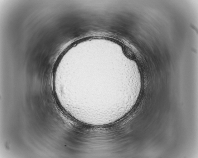 X0000093361272200711081507