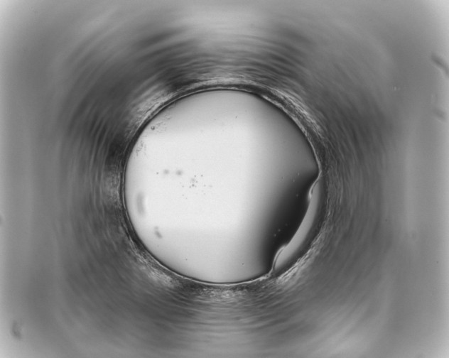 X0000093361273200711081507