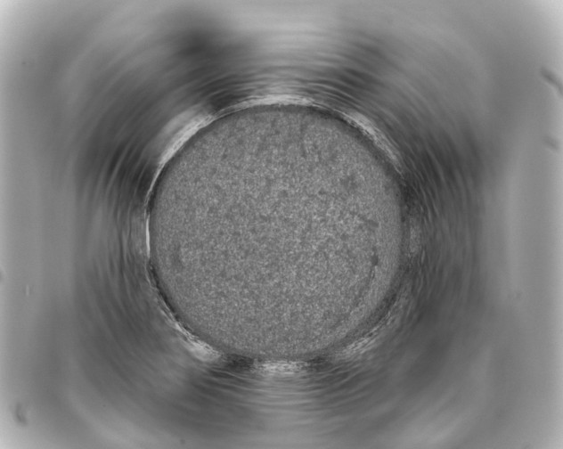 X0000093361274200711081507