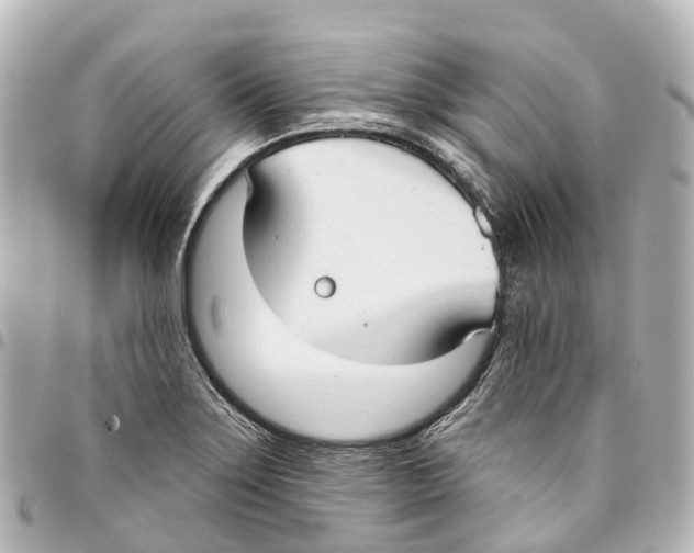 X0000093361275200711081507
