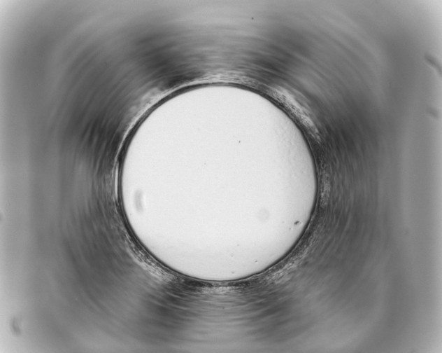 X0000093361276200711081507