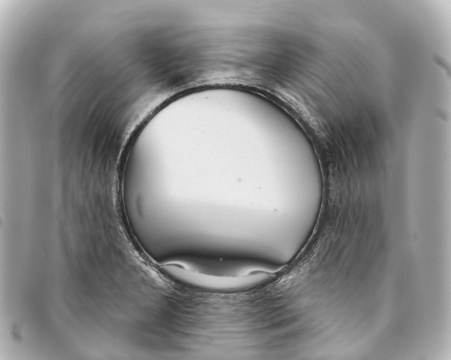 X0000093361277200711081507