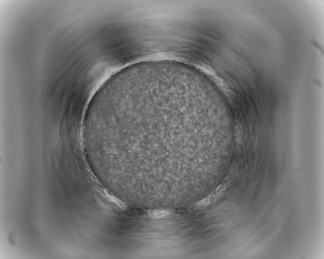 X0000093361278200711081507