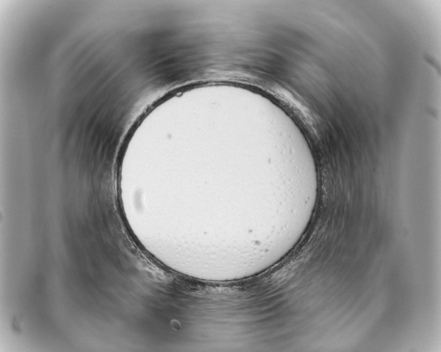 X0000093361280200711081507