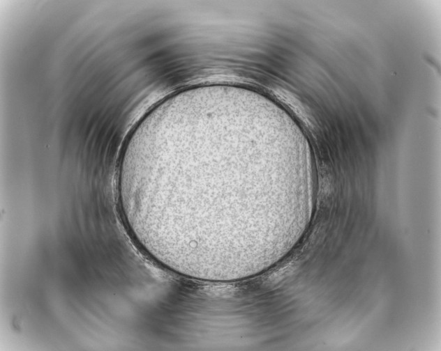X0000093361282200711081507