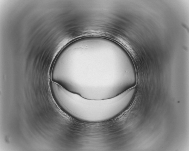 X0000093361283200711081507