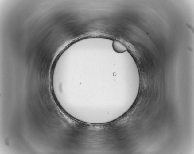 X0000093361286200711081507