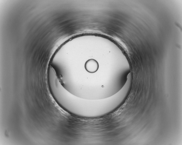 X0000093361287200711081507