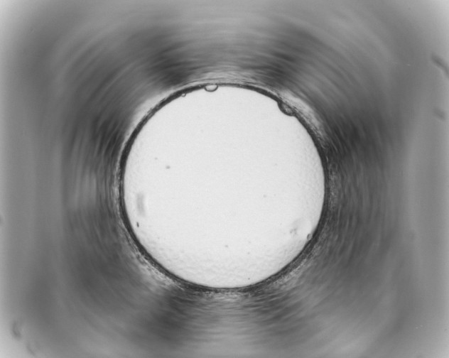 X0000093361288200711081507