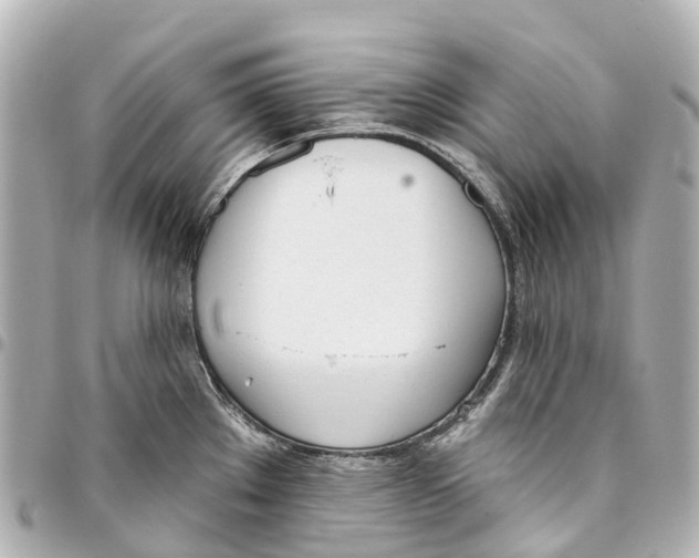 X0000093361289200711081507