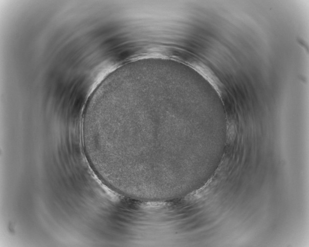 X0000093361290200711081507