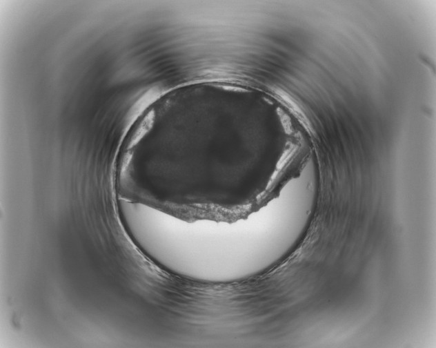 X0000093361291200711081506