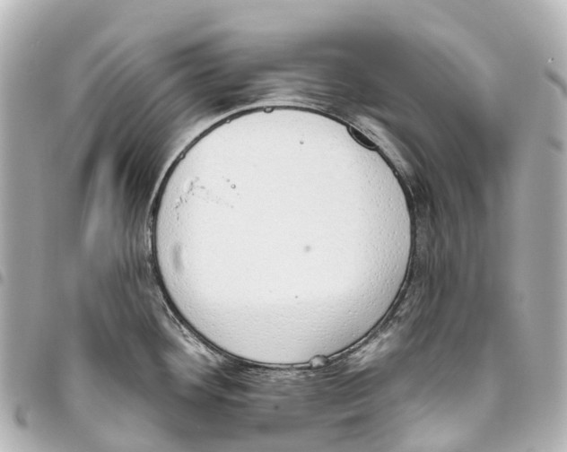 X0000093361292200711081506