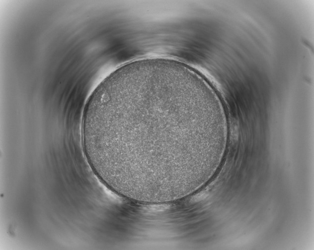 X0000093361294200711081506