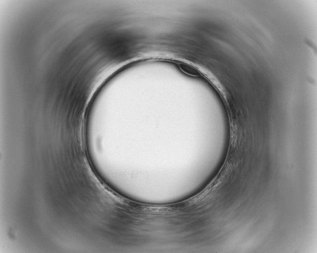 X0000093361295200711081506