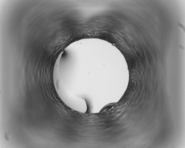 X0000093361298200711081506