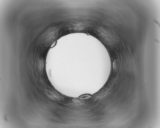 X0000093361299200711081506