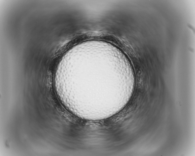 X0000093361301200711081506