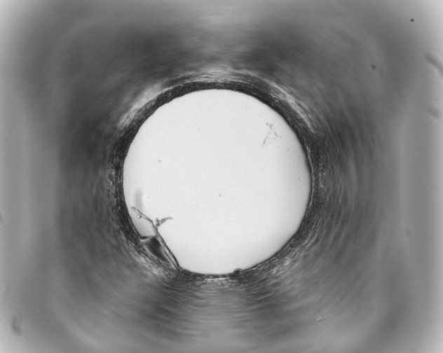 X0000093361304200711081506