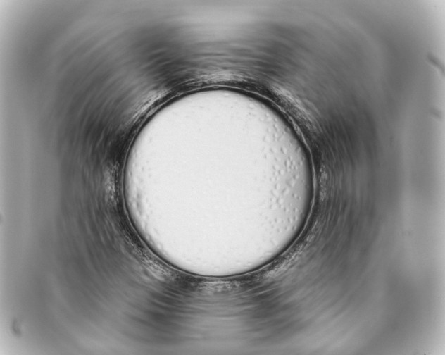 X0000093361305200711081506