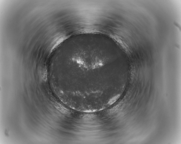 X0000093361306200711081506