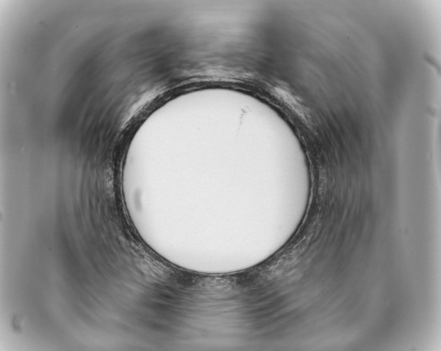 X0000093361307200711081506