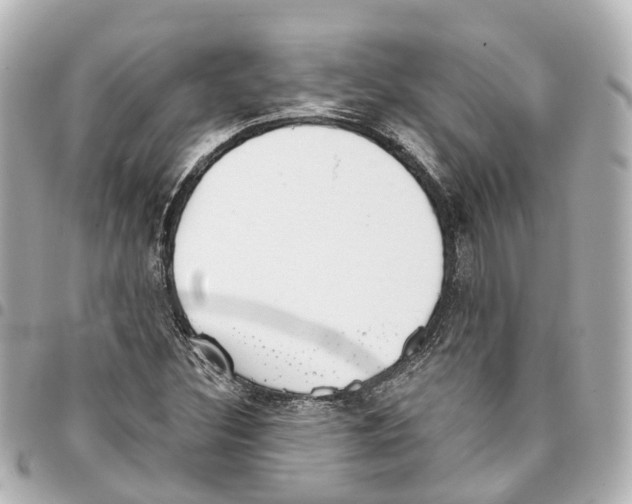 X0000093361308200711081506