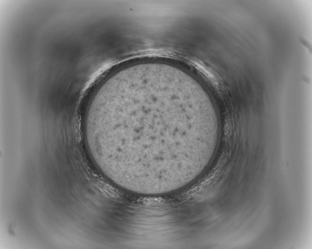 X0000093361310200711081506
