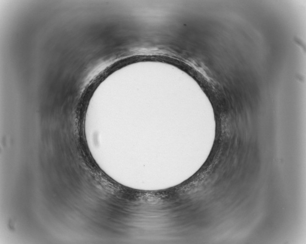 X0000093361311200711081506