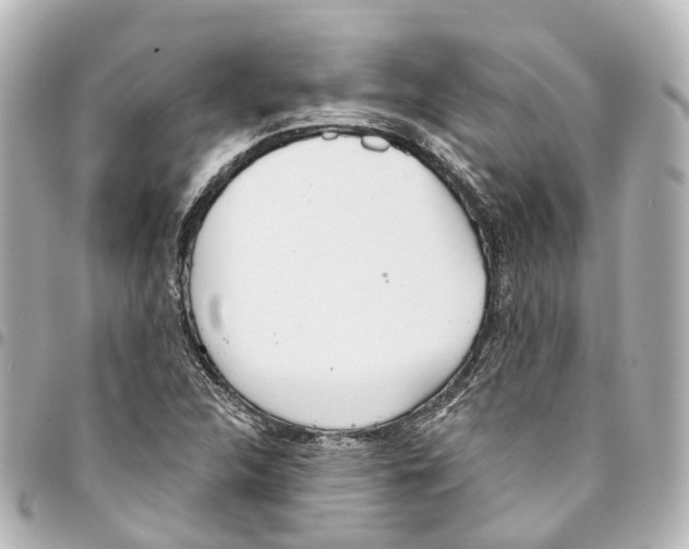 X0000093361312200711081506