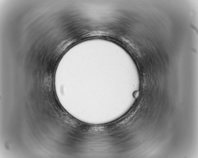 X0000093361313200711081506