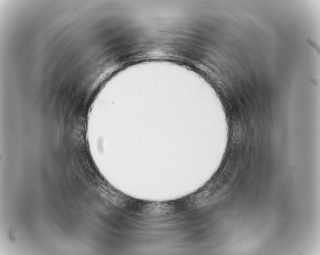 X0000093361314200711081506