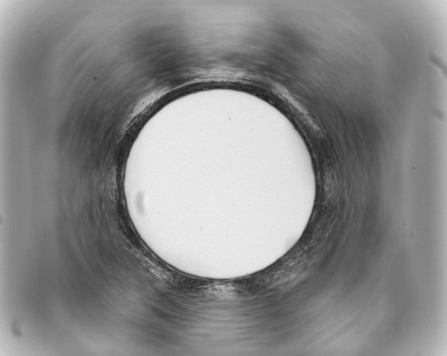 X0000093361315200711081506