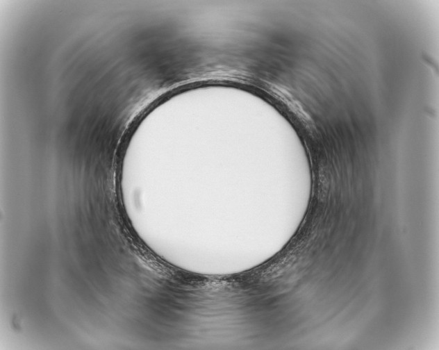 X0000093361316200711081506