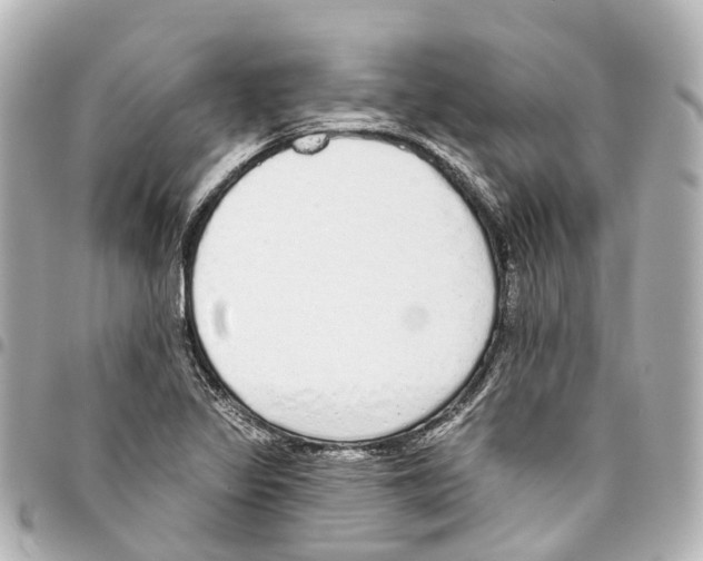X0000093361317200711081506