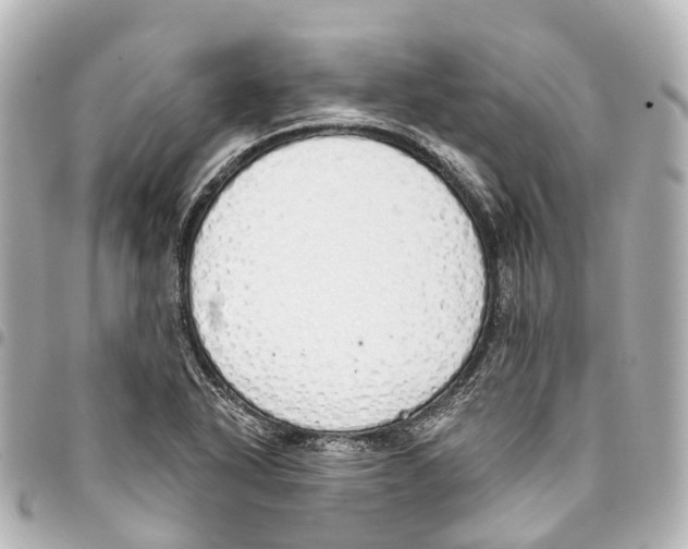 X0000093361318200711081506