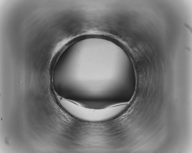 X0000093361319200711081506