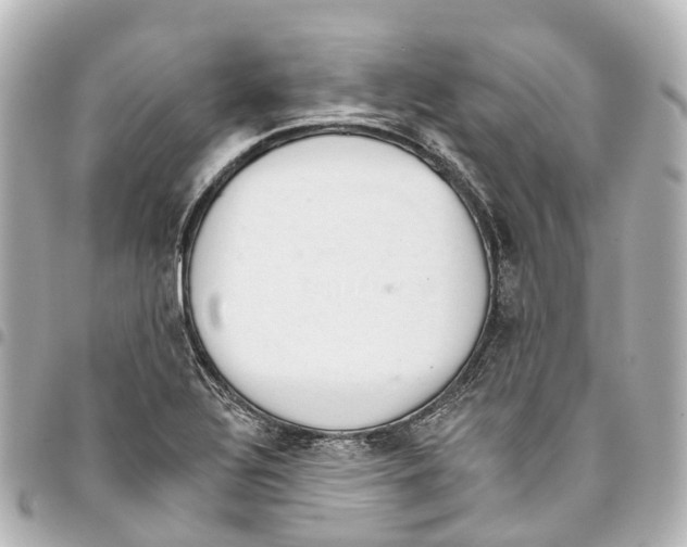 X0000093361320200711081506
