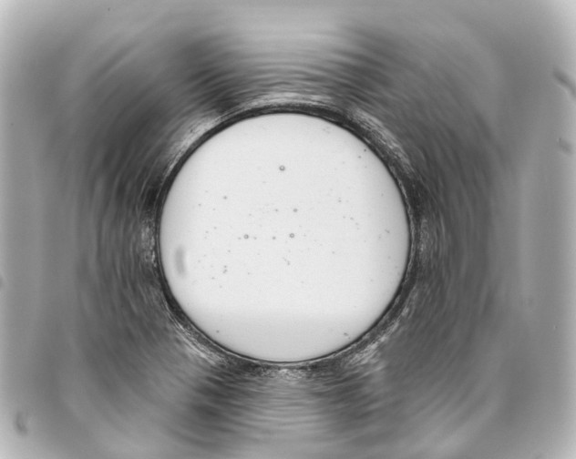 X0000093361321200711081506