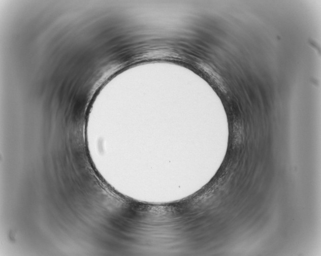 X0000093361322200711081506