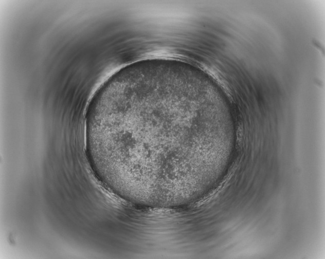 X0000093361323200711081506