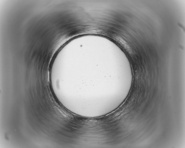 X0000093361324200711081506