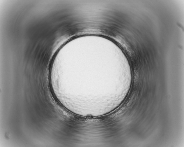 X0000093361325200711081506
