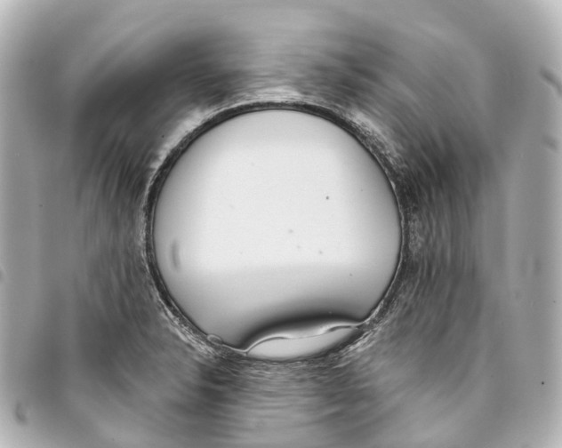 X0000093361326200711081506