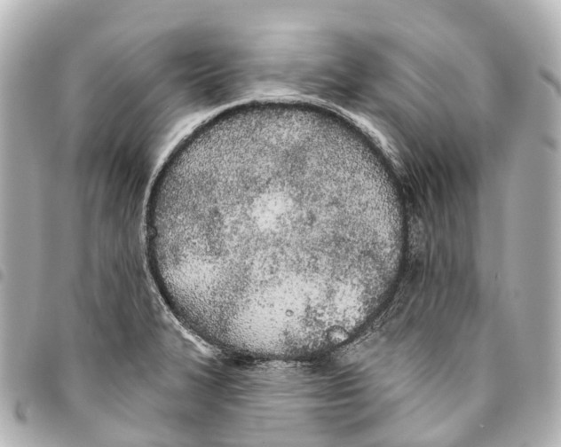 X0000093361327200711081506