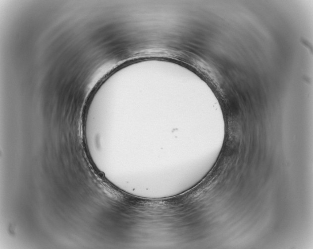 X0000093361328200711081506