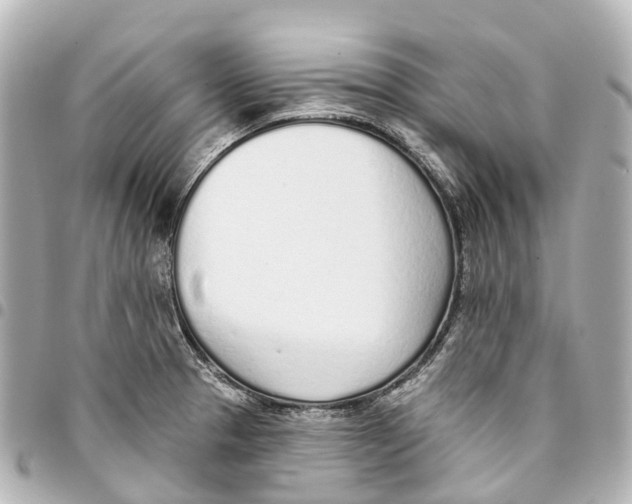 X0000093361329200711081506