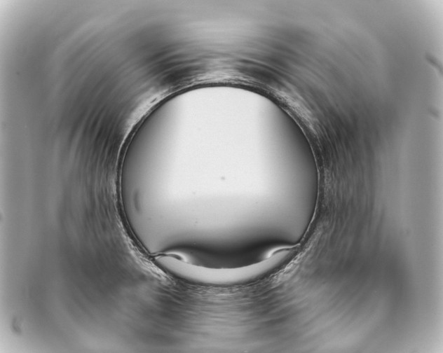 X0000093361330200711081506
